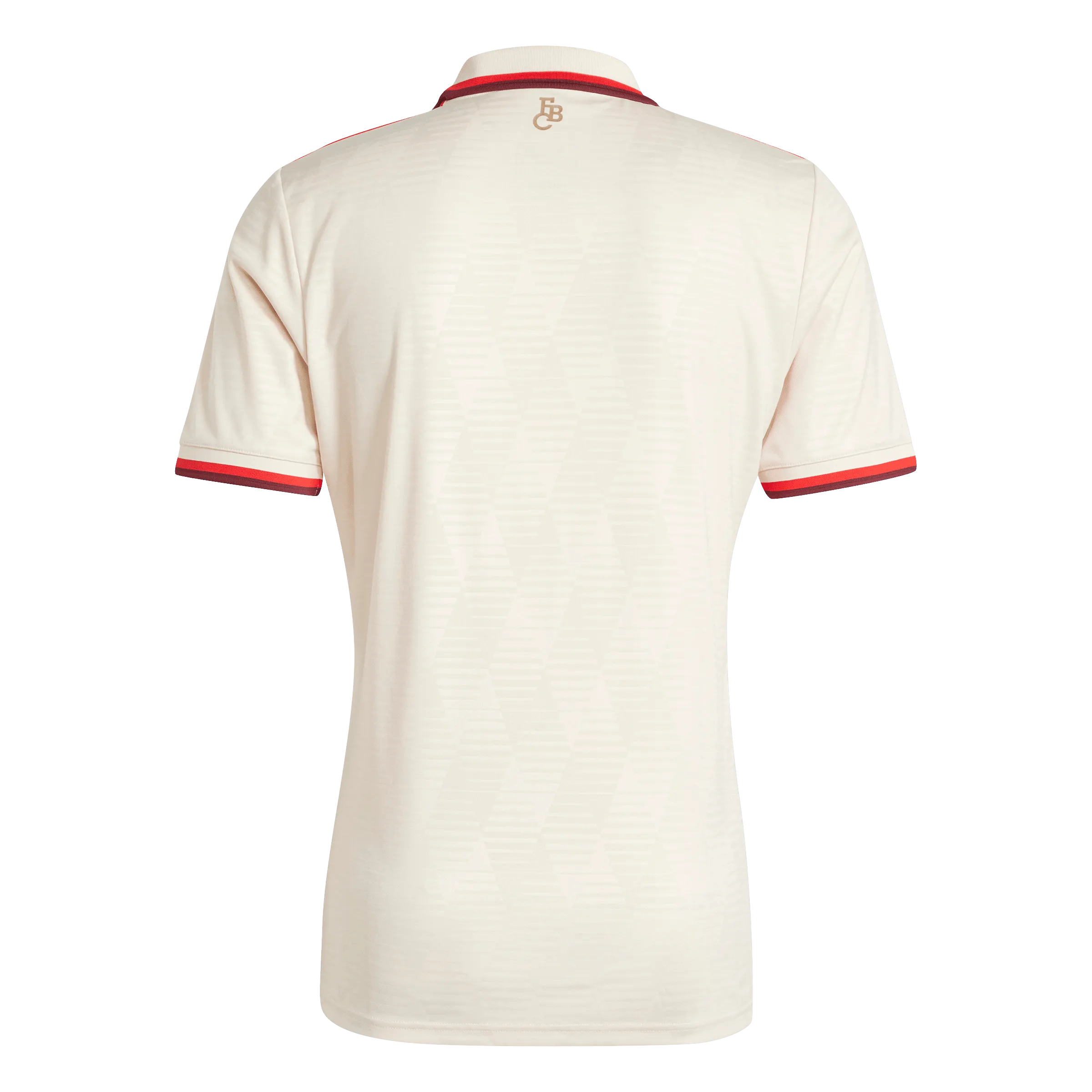 FC Bayern 24/25 Third Jersey (IZ3129)